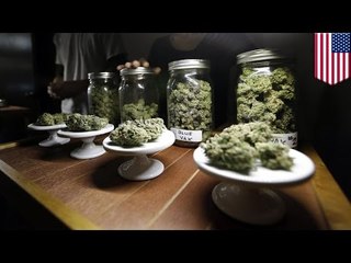 Налоговые сборы от продажи марихуаны не оправдали надежд