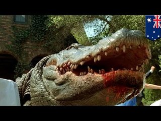 В Австралии крокодил съел рыбака