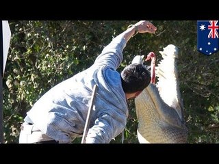 Работника австралийского зоопарка покусал крокодил