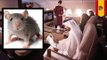 卡塔爾航班被老鼠進擊延誤六個鐘