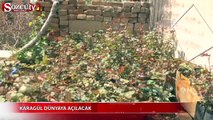 Karagül dünyaya açılacak