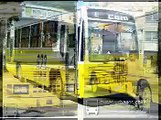 Buses Presentacion buses amarillos