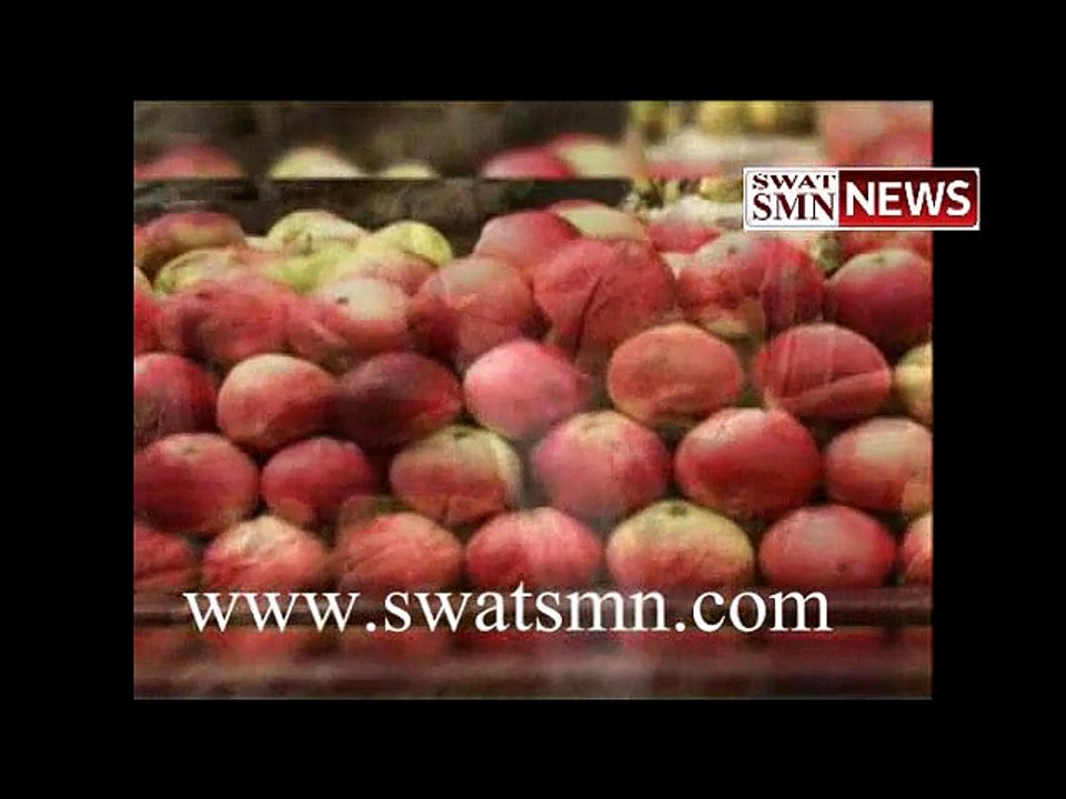 swatsmn