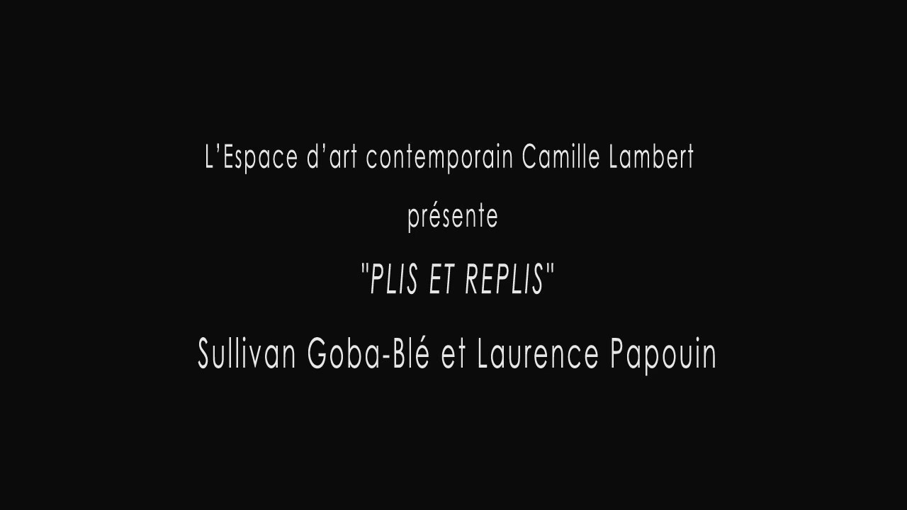 Plis et replis