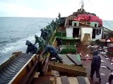 how to catch fishes, fishing at the middle of sea.