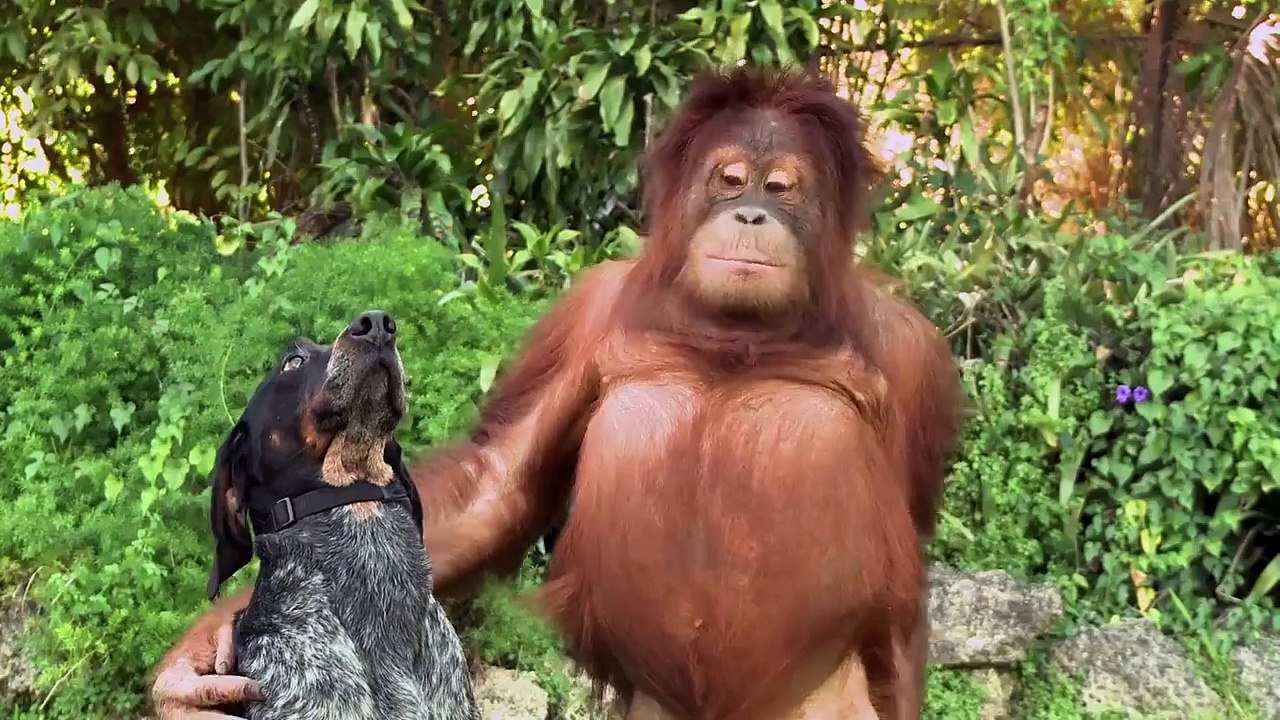 Unlikely friends!