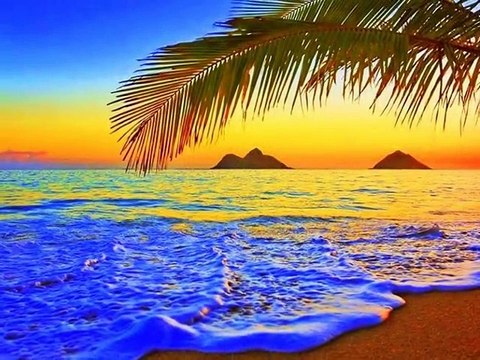 No Volvere - Gipsy Kings & Ferayi A.Serim