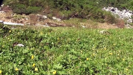 中央アルプス駒ヶ岳「千畳敷カール（長野県駒ヶ根市）」夏紀行／ 木村富男