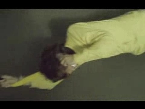 Le lapin Publivore - Proximus