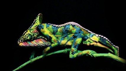 Illusion d'optique - le caméléon en bodypainting de Johannes Stötter