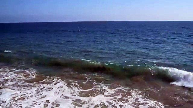 Alain Chamfort ~ Manureva