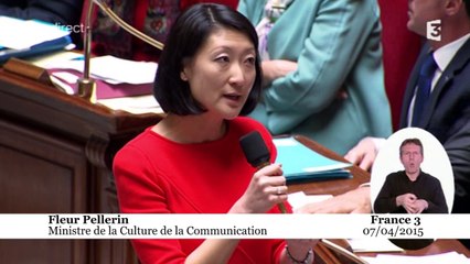 Fleur Pellerin : «Je n’ai jamais eu de considération méprisante envers le radios privées»