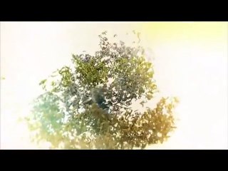 من تاريخ إيران - أرض مضيئة‬