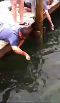 Как правильно кормить рыбу