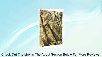 Exo Terra Background Review