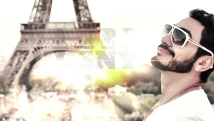 Tamer Hosny paris concert coverage / تغطية حفل تامر حسني في باريس. فرنسا