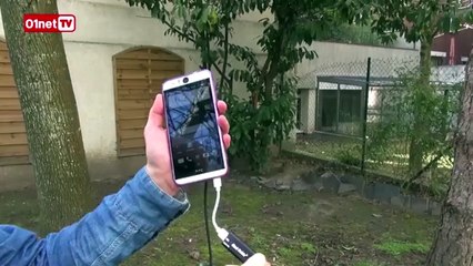 Le convertisseur audio Real Cable i-Dac pour smartphone,