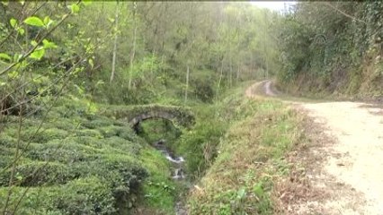 Saldırı Yapılan Bölgede "Ayak İzi Kalıbı" İncelemesi