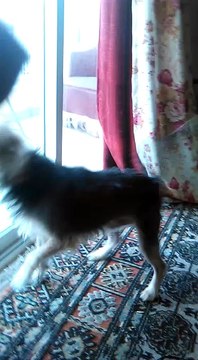 VID-20150206-WA0031.mp4