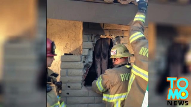 فتاة تعلق في مدخنة بيت حبيبها السابق وهي عارية