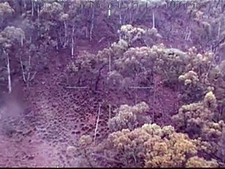 El “milagroso” rescate de un niño autista desaparecido hace cuatro días