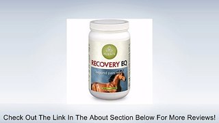 Recovery EQ Joint Health & Anti-Inflammatory 2.2lb Review