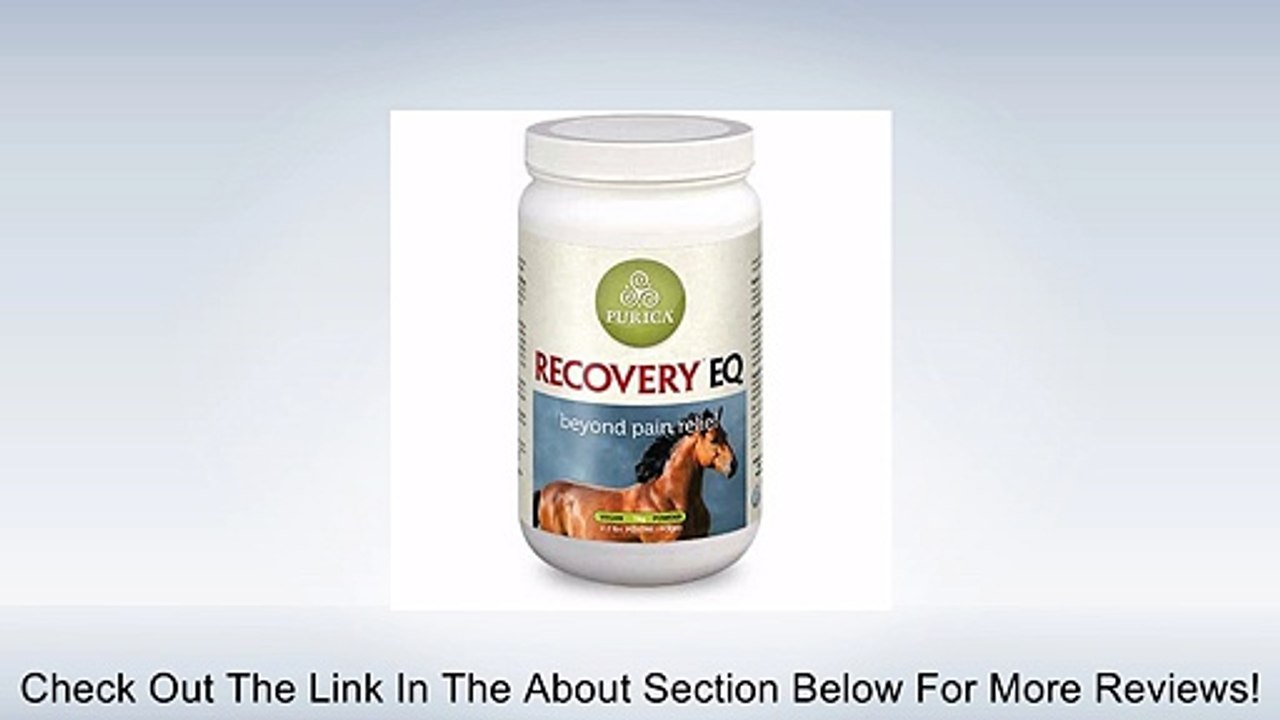 Recovery EQ Joint Health & Anti-Inflammatory 2.2lb Review