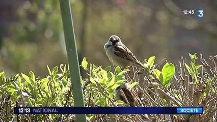 Zoom sur les jardins familiaux