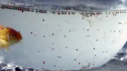 Zara Sa Music Video 🎶