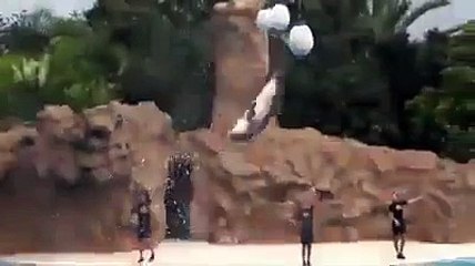 Say praise god before watching. and then and grown up maximus is god