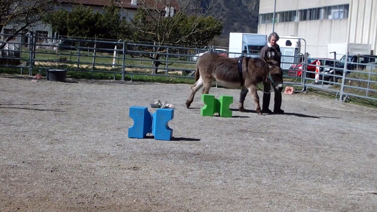 défit d'avril trainer un objet en décrivant un 8.