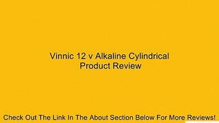 Vinnic 12 v Alkaline Cylindrical Review