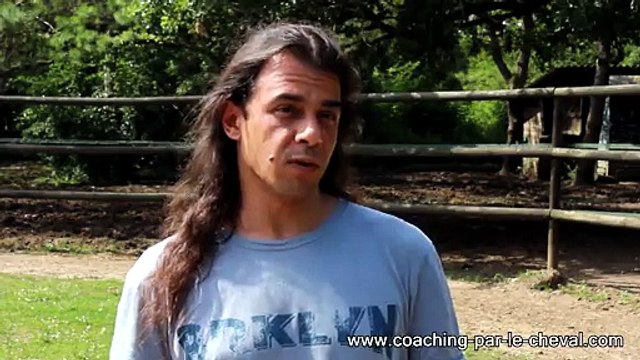 Créer et ressentir la connexion avec l’autre, développer une assurance, développer sa confiance en soi grâce au cheval