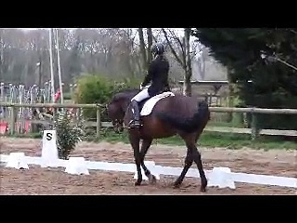 Salina AM2 - Guérande