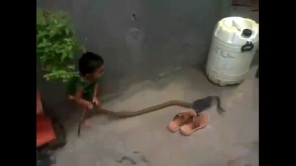 OMG!! Brave Kid playing with snake - Shocking