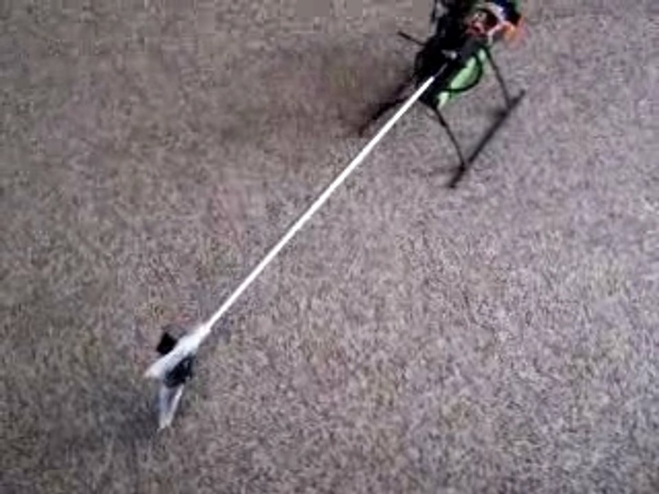 Helico_pales