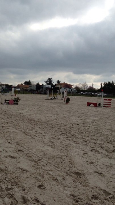 Blacky - Poney E Elite - Ecuries de Flore - 4pts