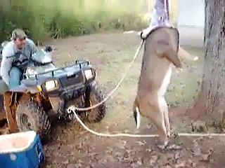 OMG!!! What is he Doing___ - Its really amazing