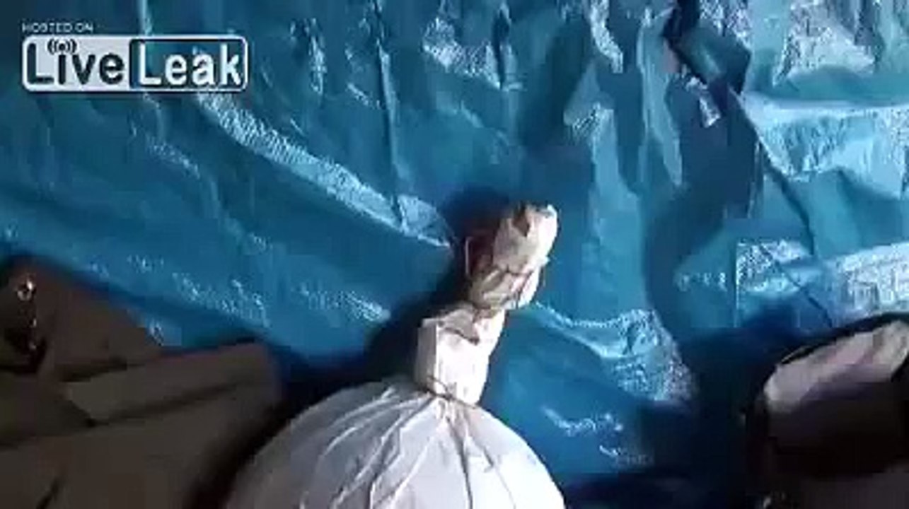 LiveLeak - Crazy firework bomb in germany