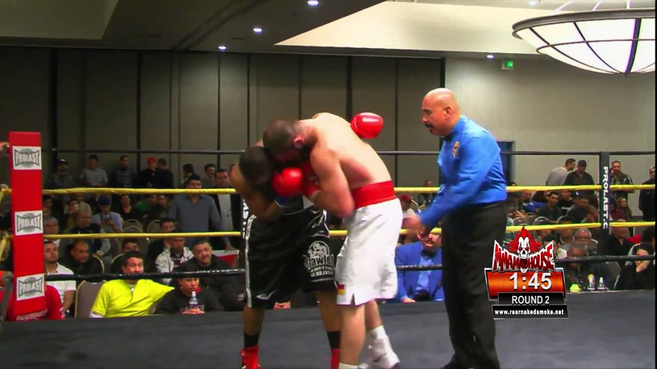 2015-01-23 Murat Gassiev vs. Terrance Smith