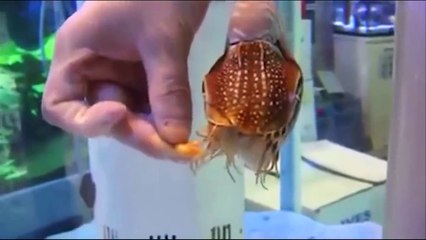 OMG!!! What is this _____