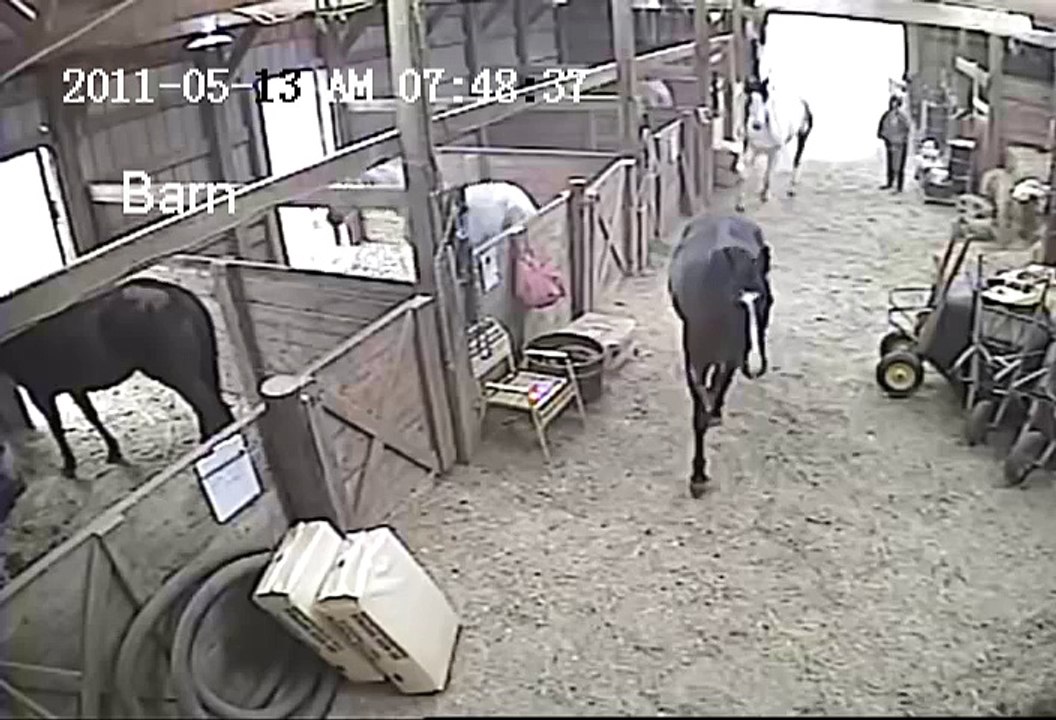 OMG!!! Woman getting kicked by horse