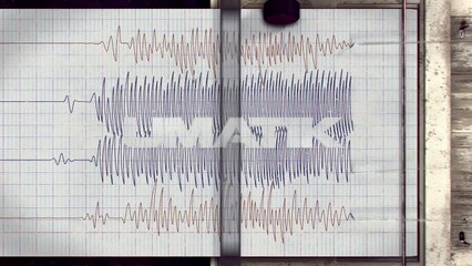 MANIEGGS // a film by Zoltan MIKLOSY & Attila HERKO