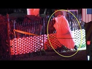 Пьяный погиб, упав с дерева и напоровшись на забор