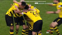 Sebastian Kehl 3:2 AMAZING GOAL | Borussia Dortmund - Hoffenheim 07.04.2015 HD