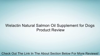 Welactin Natural Salmon Oil Supplement for Dogs Review