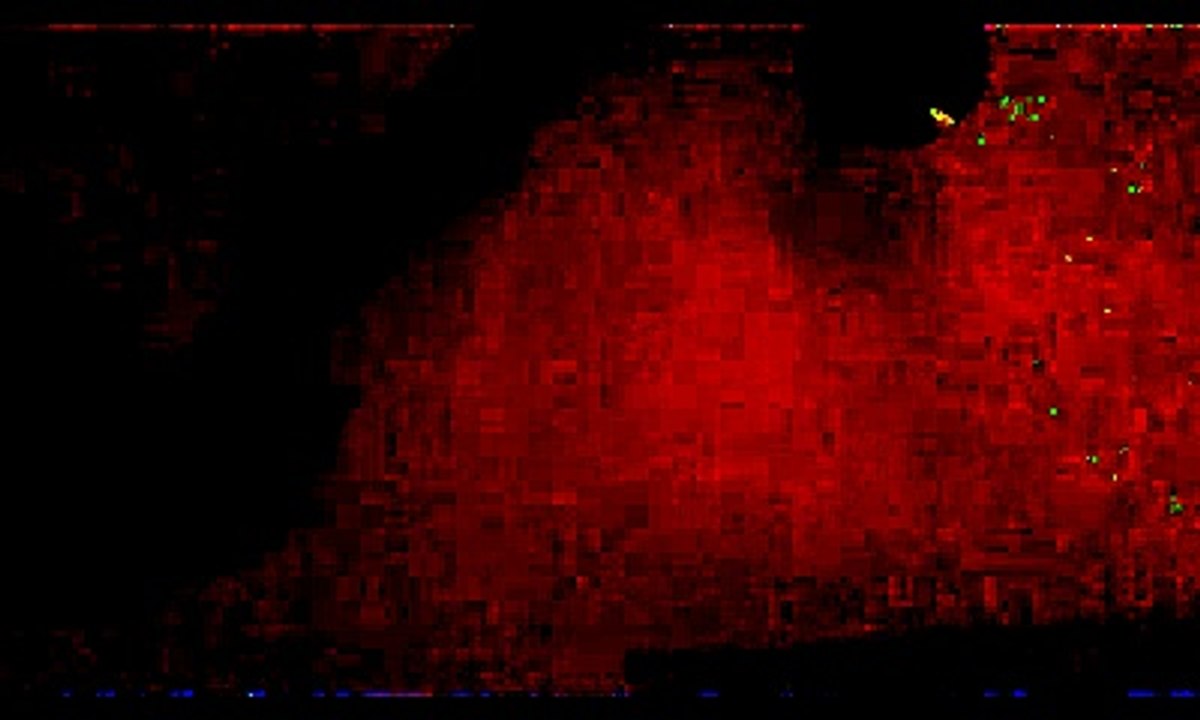 Polly (Nirvana cover)