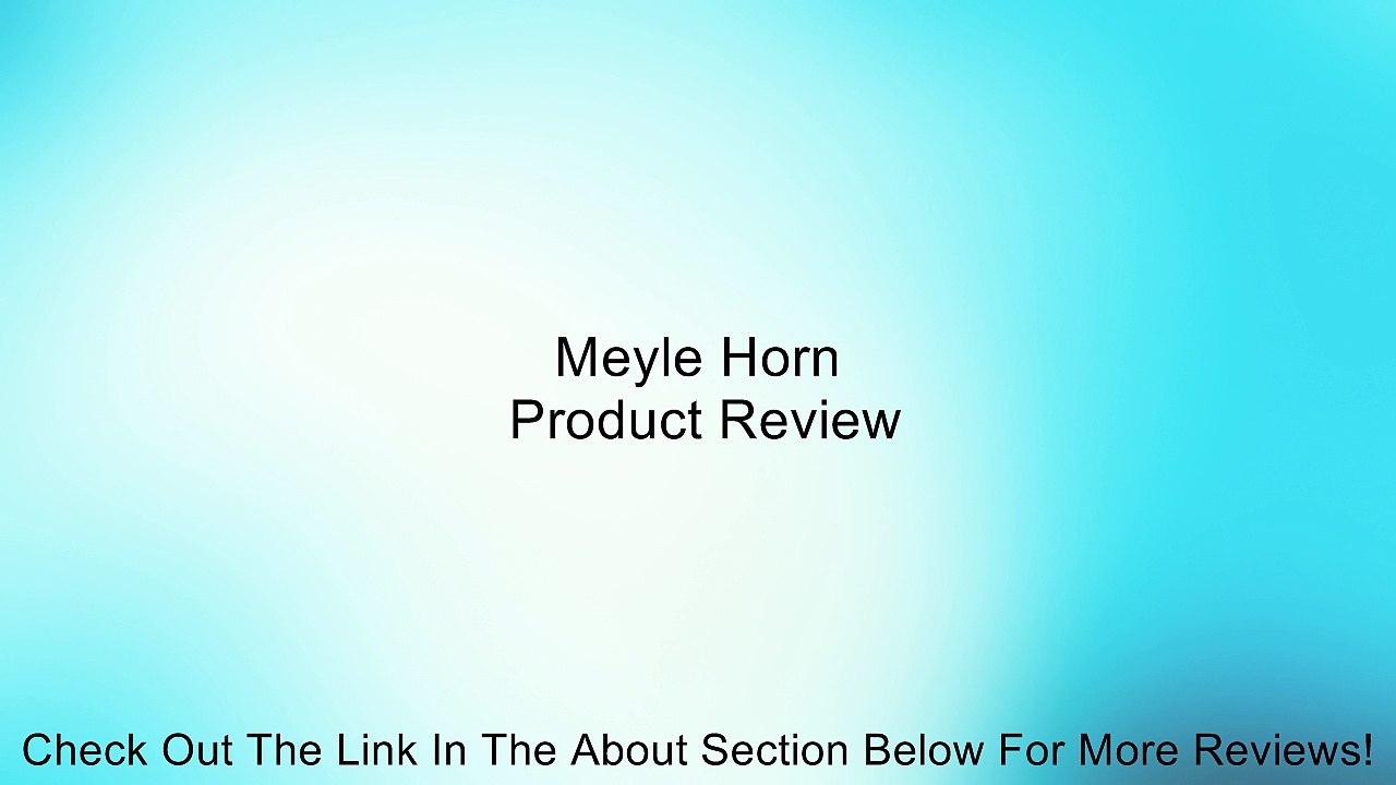 Meyle Horn Review