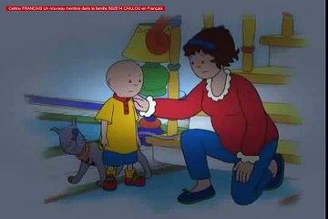 Caillou FRANÇAIS Un nouveau membre dans la famille S02E14 CAILLOU en Français