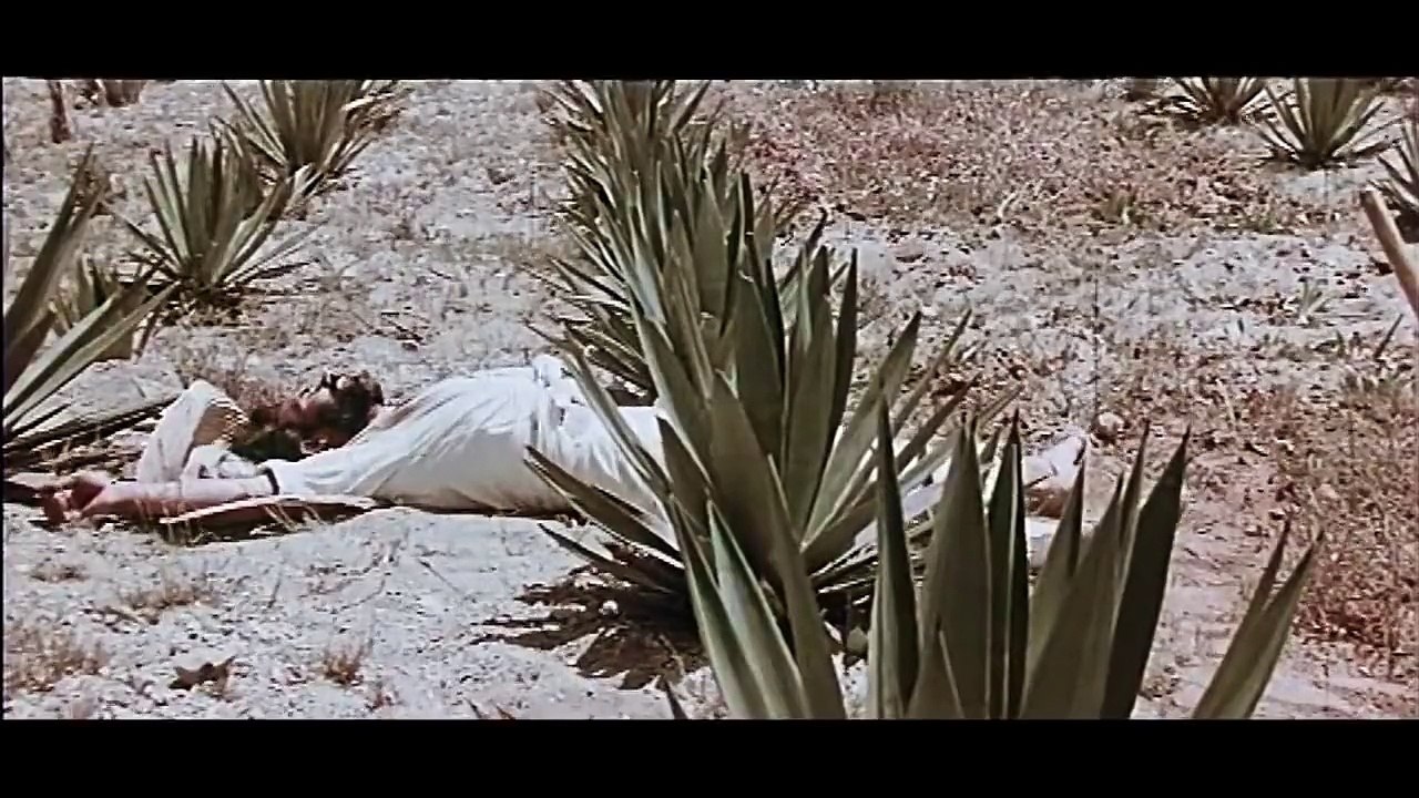 Gott vergibt - Django nie! (1967) - Kinotrailer